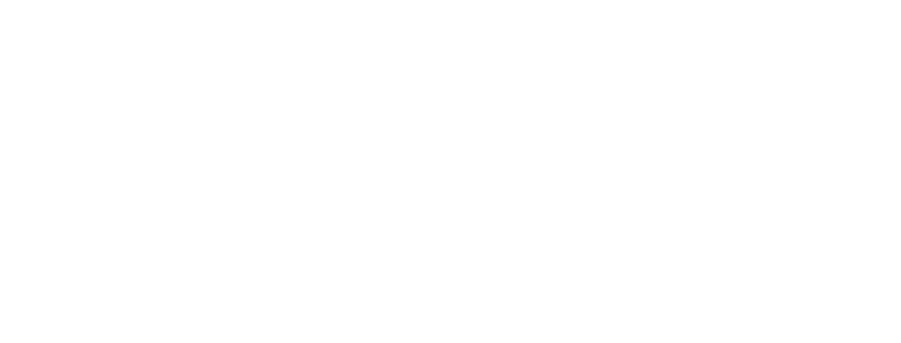 Syntaras Inc.